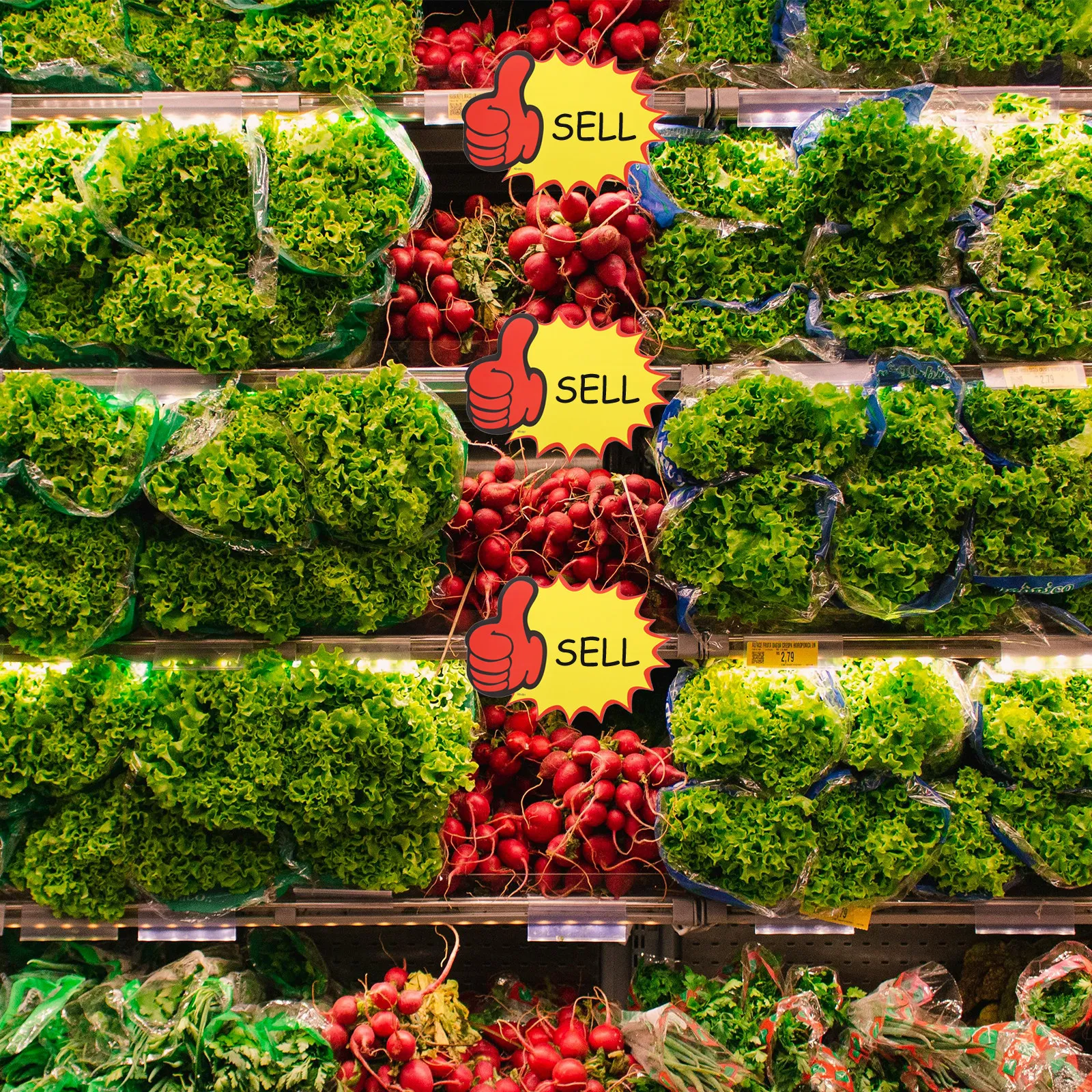 

80 Sheets Retail Price Tags for Supermarket Grocery Stores Writable Surface Clear Printing Versatile Sale Signs for Small