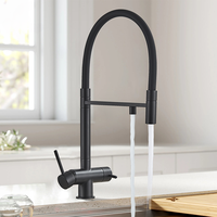 Filtered Kitchen Faucets Dual Spout Filter Faucet Mixer Pull Out Spray 360 Rotation Water Purification 3 Ways Sink