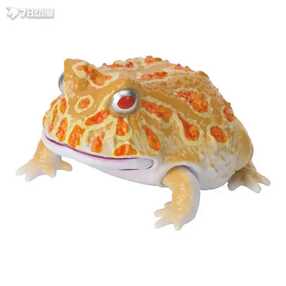 Bandai Gashapon ของแท้ 'ภาพประกอบทางชีวภาพ' Series - Horned Frog, Short-Headed Frog & Bread Frog Figures (Collectible Na