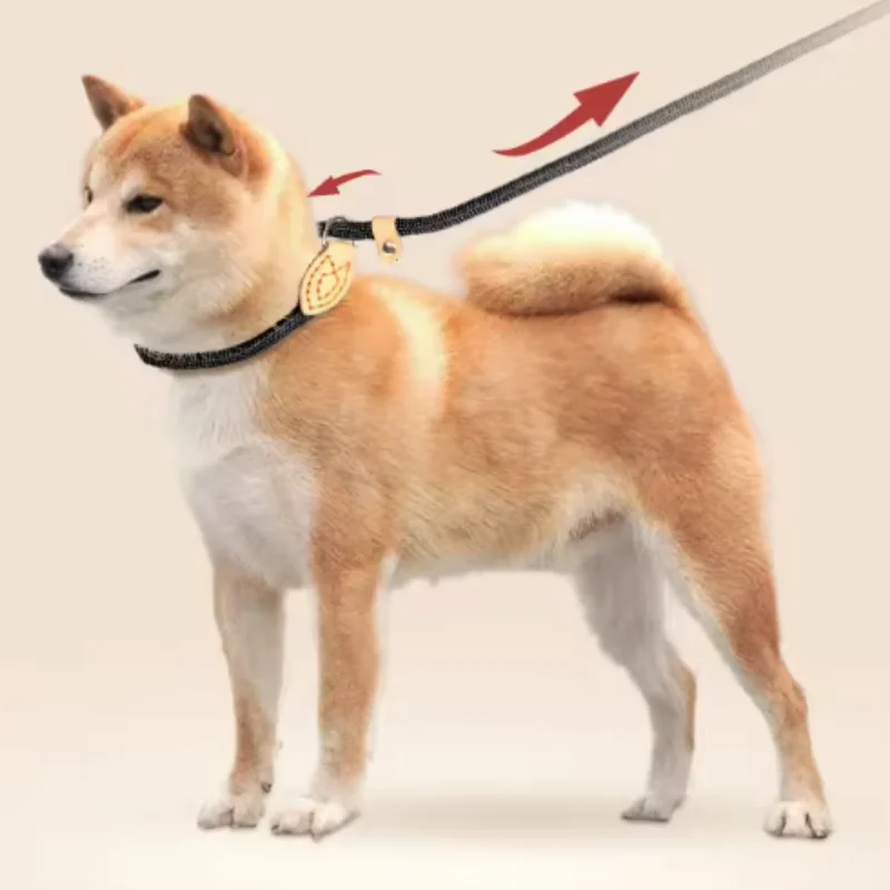 Thumbnail 2 - #52 Latest Dog Leads Offers