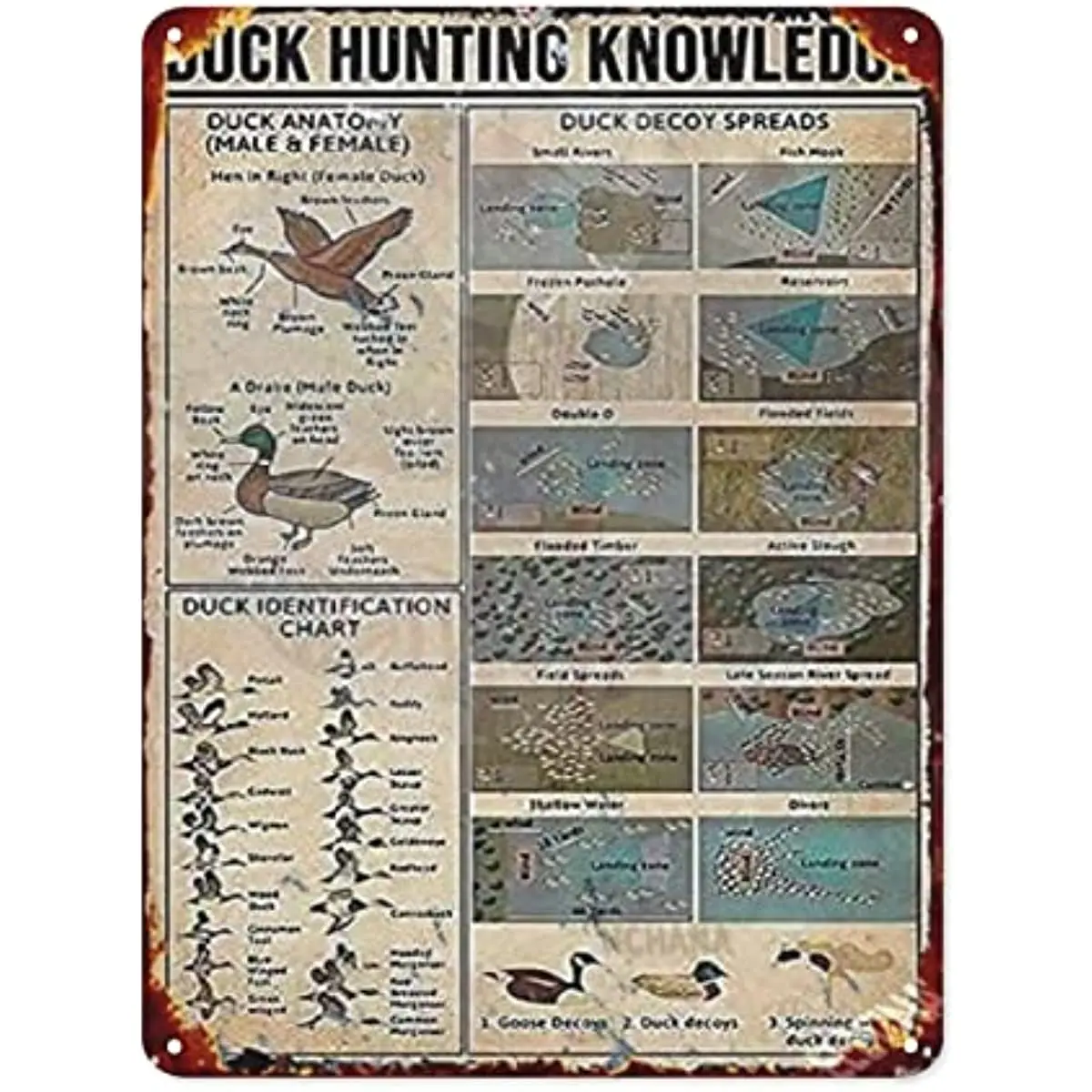 

New Retro Metal tin Sign Duck Hunting Knowledge Metal Tin Sign Duck Identification Chart Retro Poster Hunting Cabin Kitchen Cafe