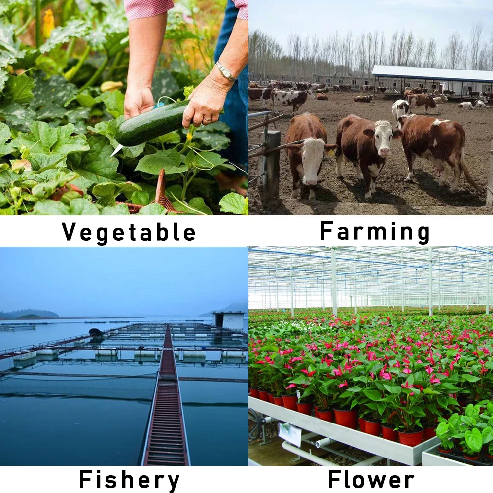 30 G Compound Amino Acid Fertilizer Powder Npk Nitrogen-phosphate-potassium Safe Supplement Plant Nutrition For Garden view 5