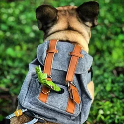 Preppy Style Bulldog Dog Travel Backpack Harness For Small Medium Dogsr To Wear Outdoor Cute Dog Carrier Bag Backpack Pets