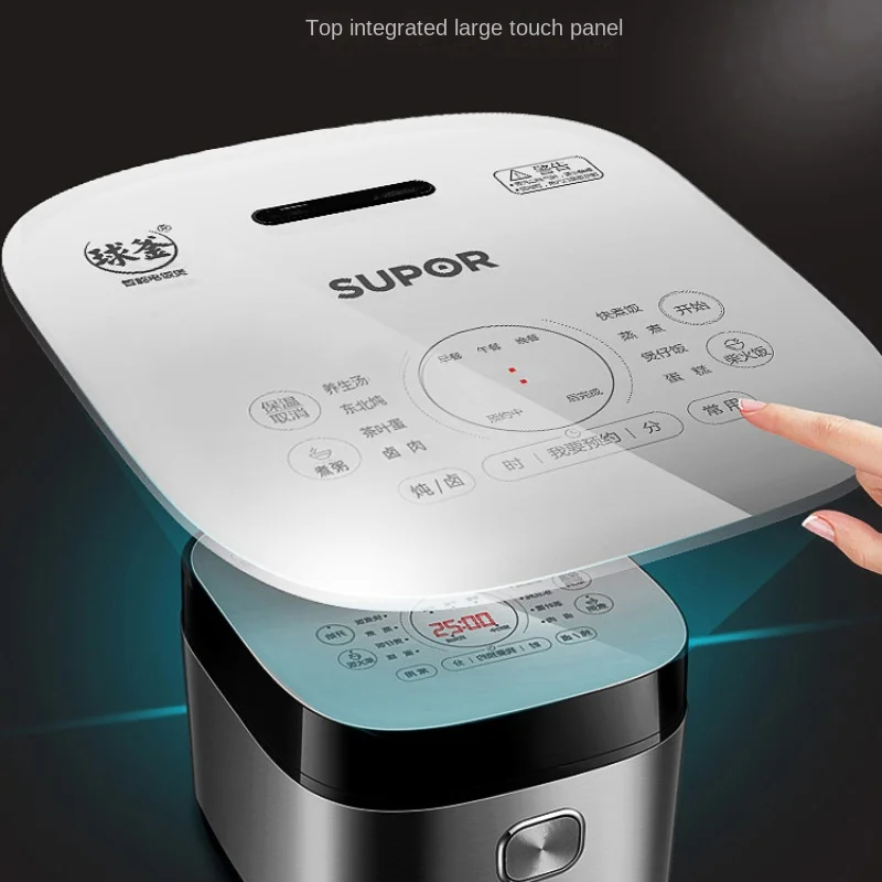 가정용 볼 주전자 밥솥, 5L, 스마트 다기능 스티머, 식품 워머 용기, 핑크 오일, 휴대용 쌀