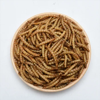 Fish Food Dried Mealworms 100%Pure Natural Bulk Wholesale Nirds Fish Small Pet Food