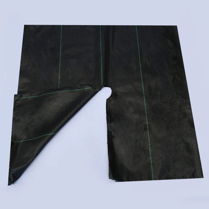 2025 PP 잡초 방지 천, 농업용 과일 및 채소 재배용 바닥 덮개 및 제초막