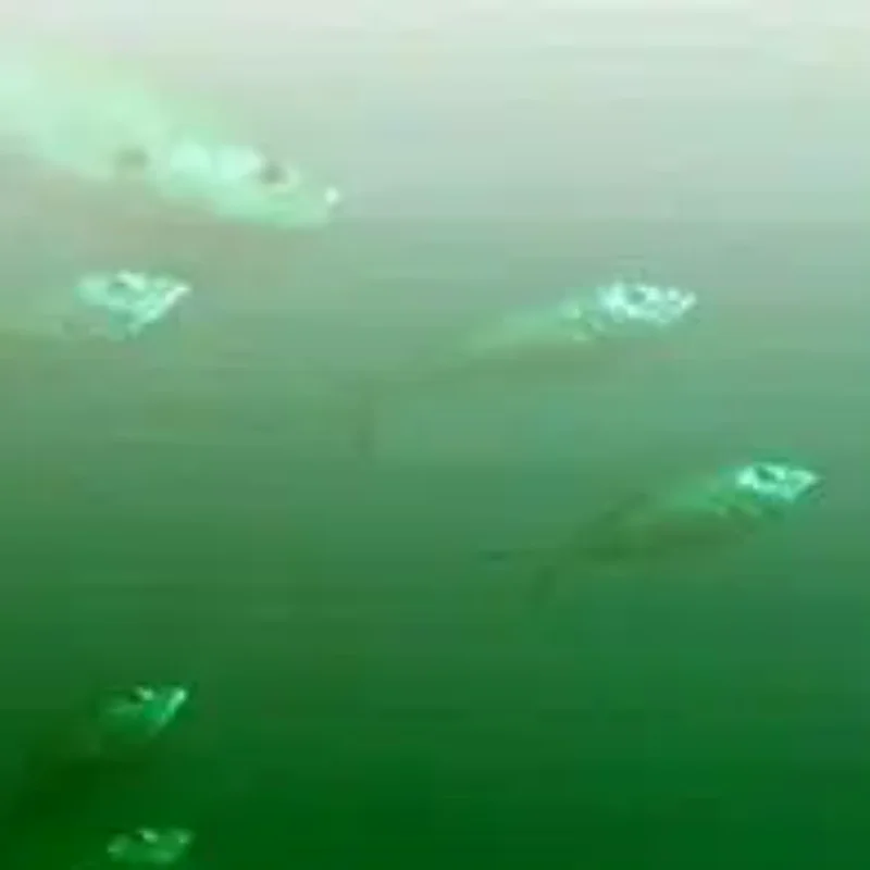 5v-usb-led-luz-de-pesca-ip68-isca-lampada-localizador-de-peixes-atrai-camaroes-lula-krill-4-cores-luzes-subaquaticas