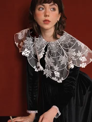 Women's Embroidered Lapel Velvet Dress，Autumn and Winter