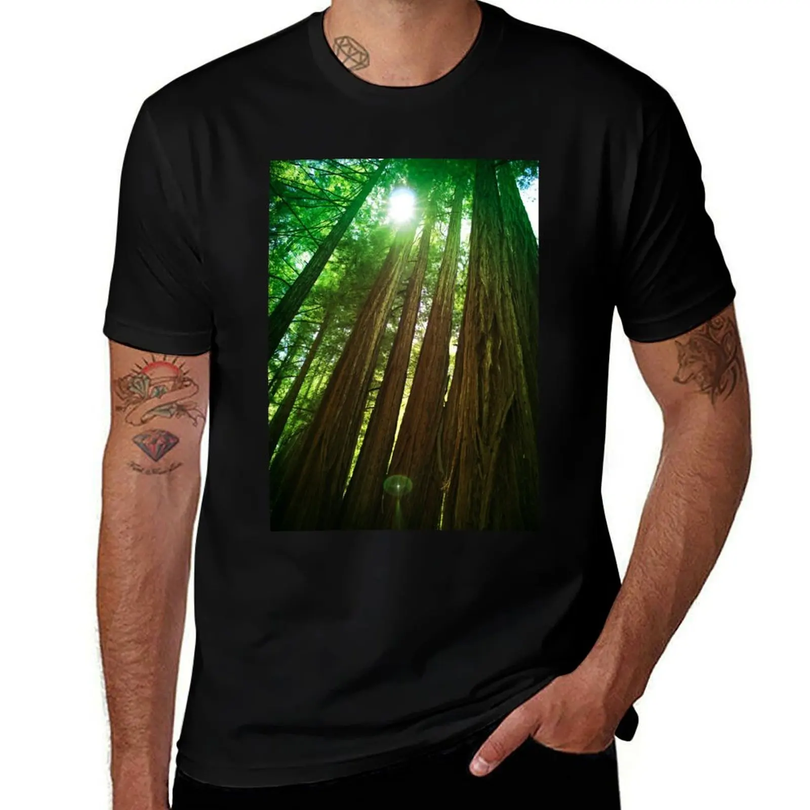 

Redwood Trees T-Shirt Casual Loose Fit Summer Tee Shirt