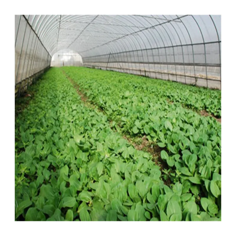 

2025Quality-Assured Small Agricultural Greenhouse Frame Structure Durable Round Steel Construction