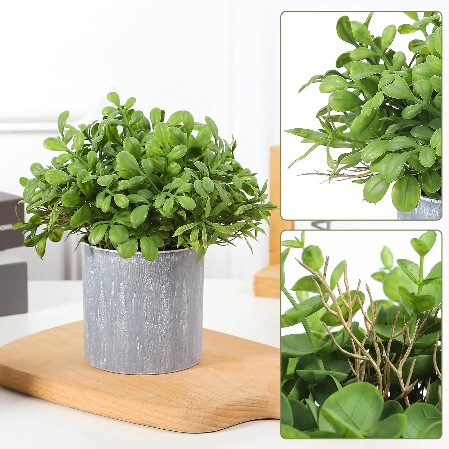 Rośliny doniczkowe 2