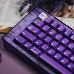 LeleLab Paris Purple Keycap Set 130-Key Cherry Profile Elegant Purple Frosted Keycaps for Mechanical Keyboard Gaming Office Gift