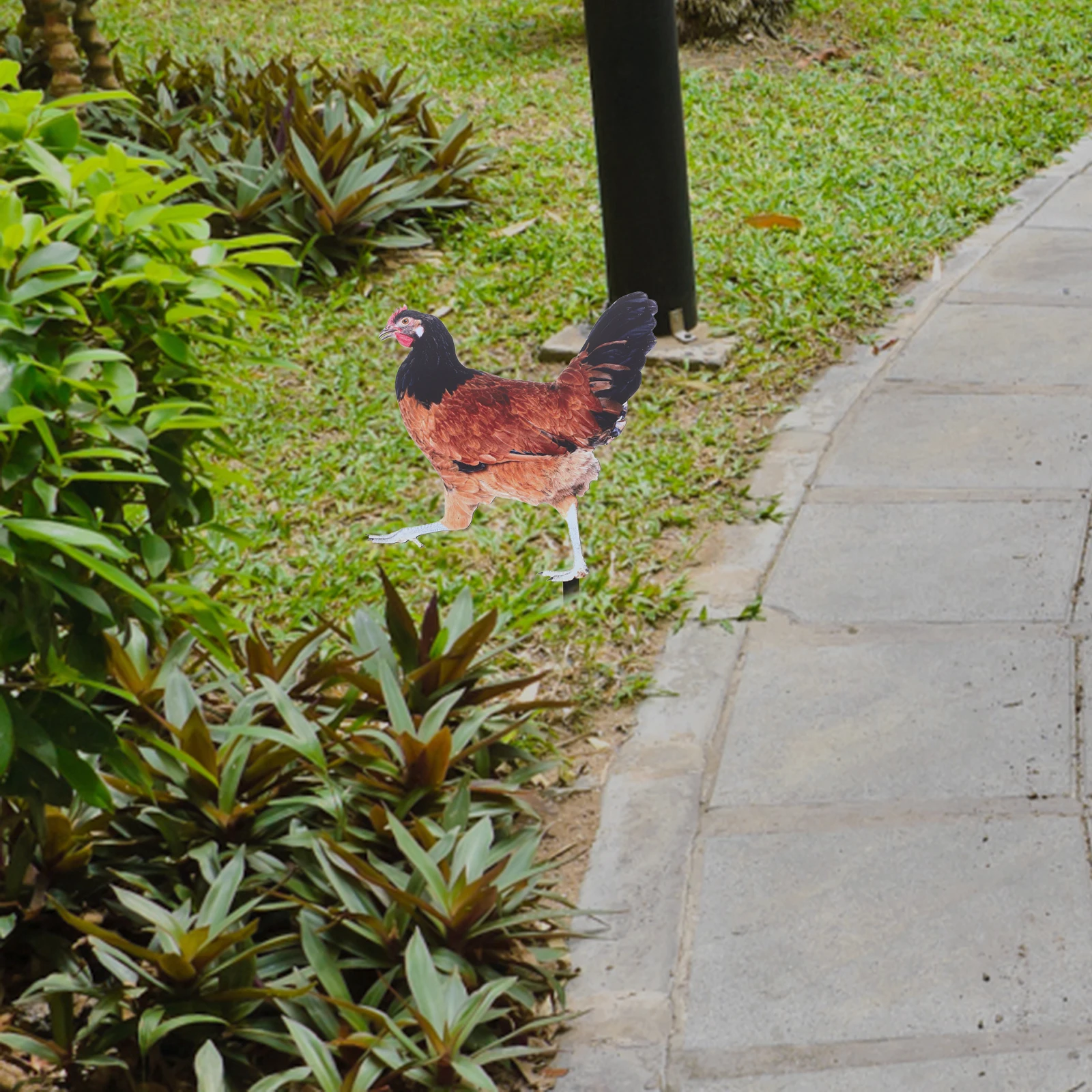 

6 Vivid Acrylic Chicken Decor Stakes DurableMotherfor Garden Yard Lawn Patio Outdoor Animal Inserts