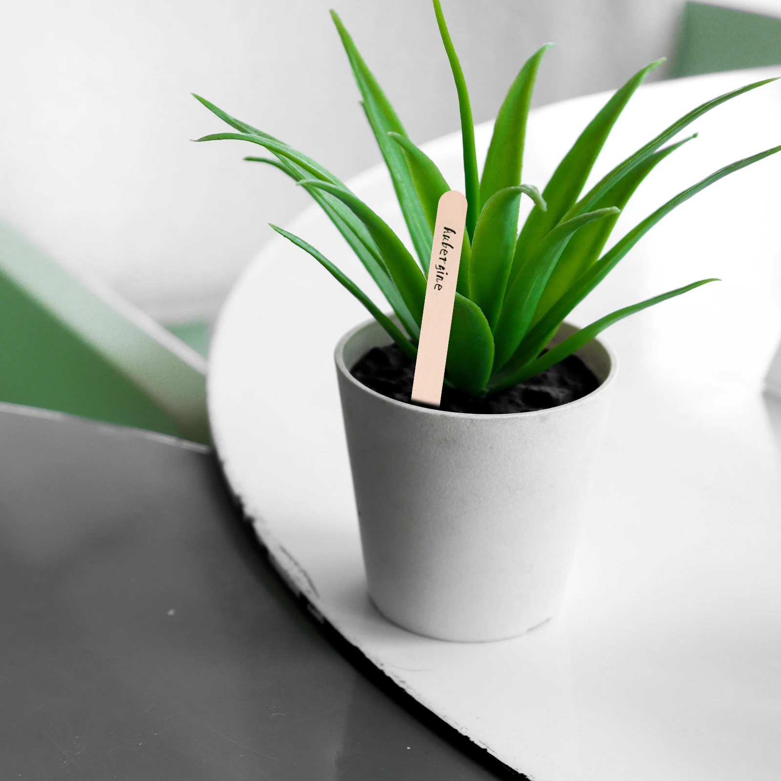 

200 Wooden Plant Labels Durable Safe Easy Use Sturdy Garden Outdoor Indoor Potted Plants Greenhouses Creative DIY Name Mark