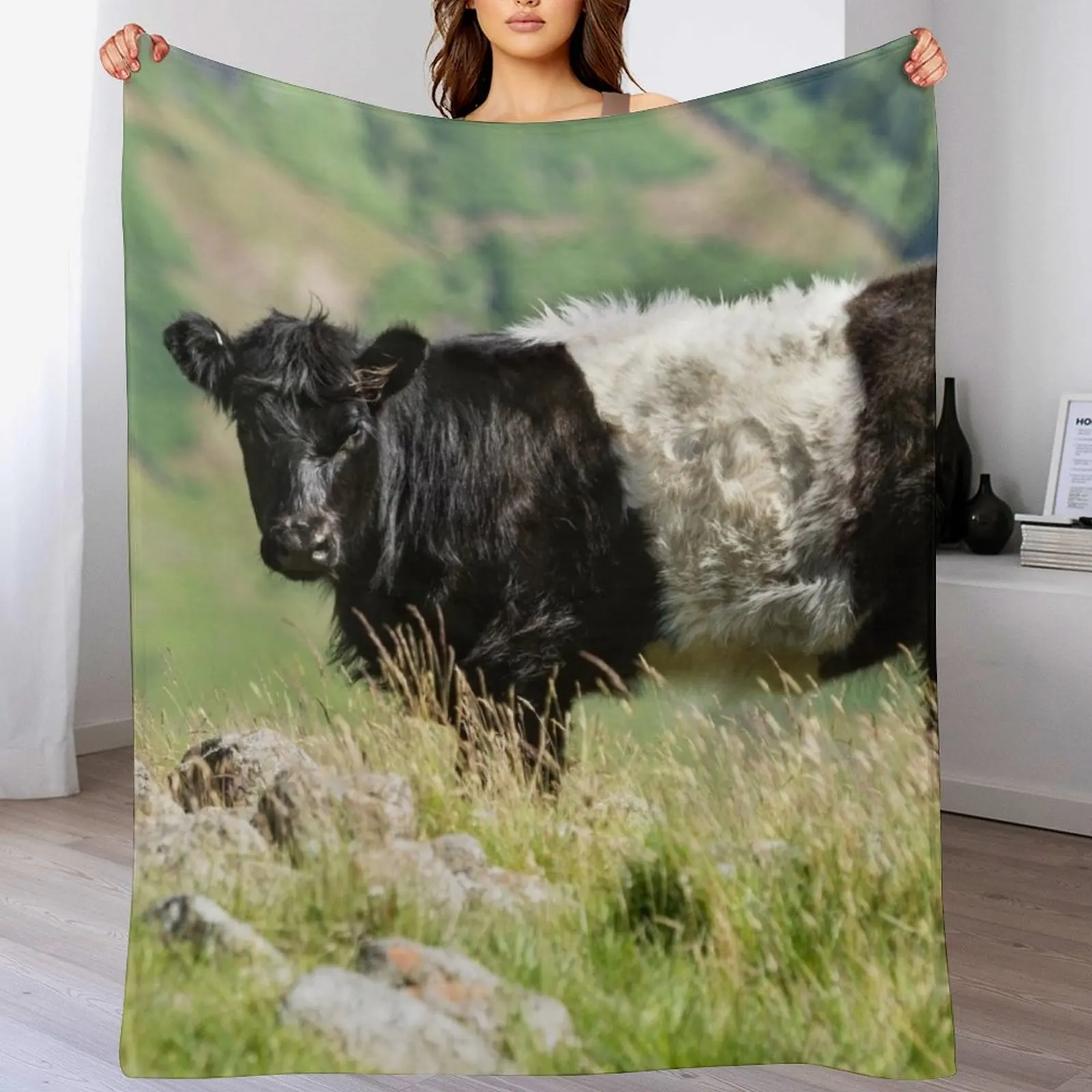 

Belted Galloway Cow Throw Blanket anime Blankets Sofas Of Decoration Giant Sofa Luxury Designer Blankets