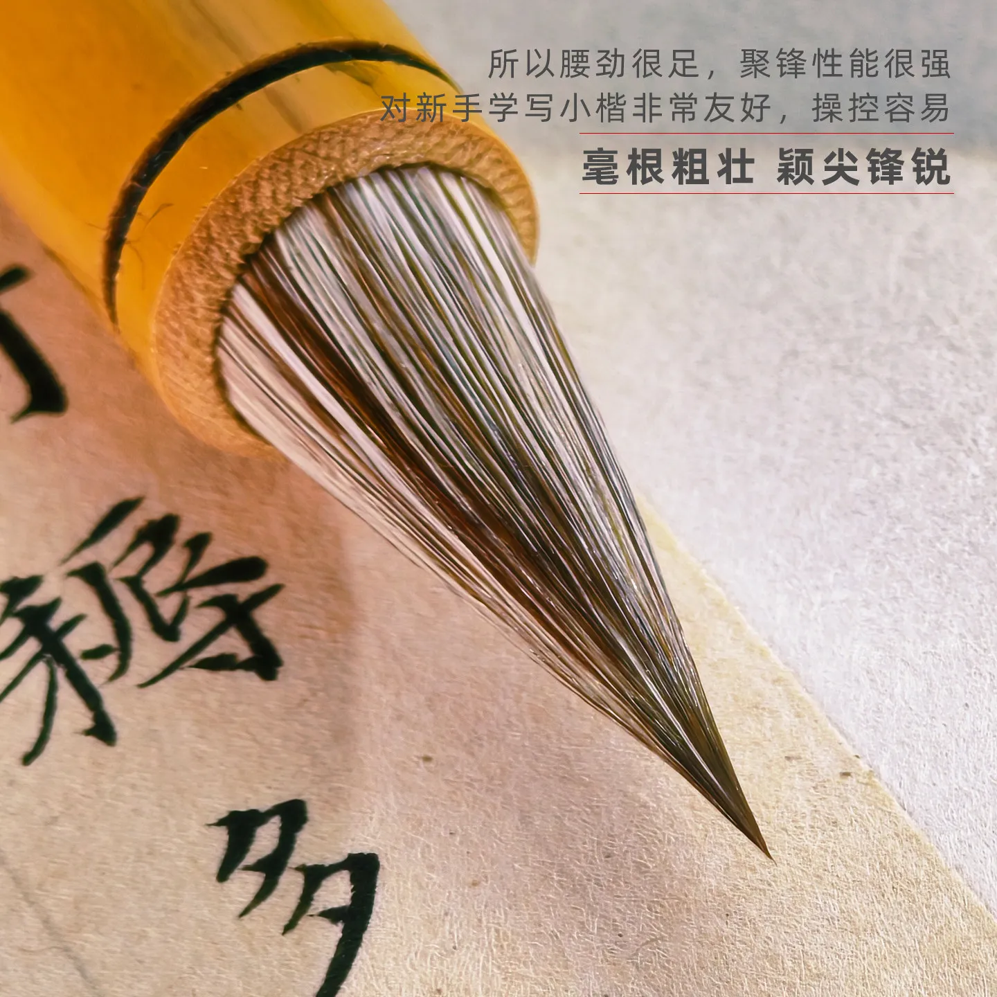 Doubled Both Writing Brush Songxinqi Nutria Sheep Hair Rabbit's Wen Zhengming Zhao Meng for Beginners
