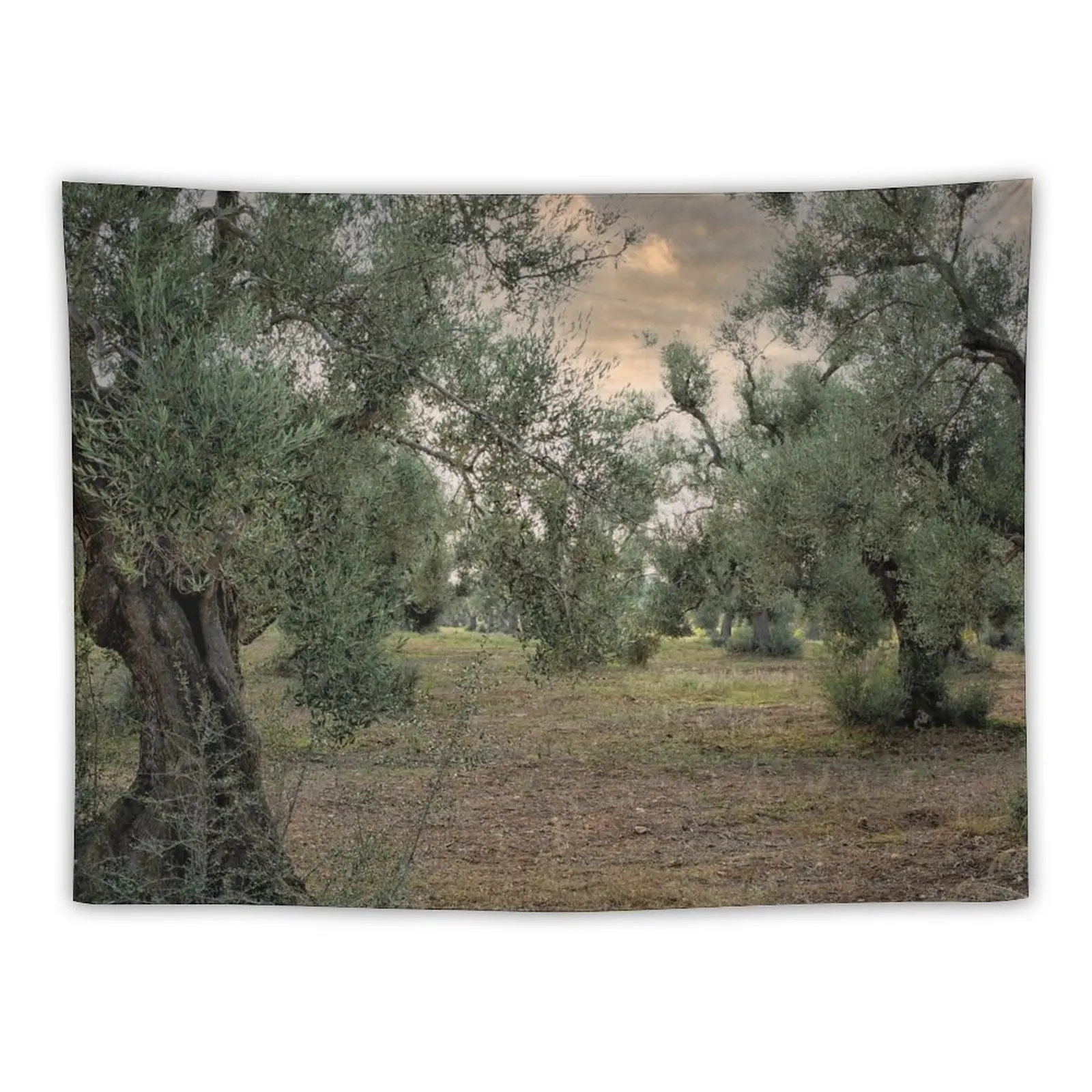 

New Olive trees with sunset Tapestry Wall Decor Hanging Decorations For Your Bedroom