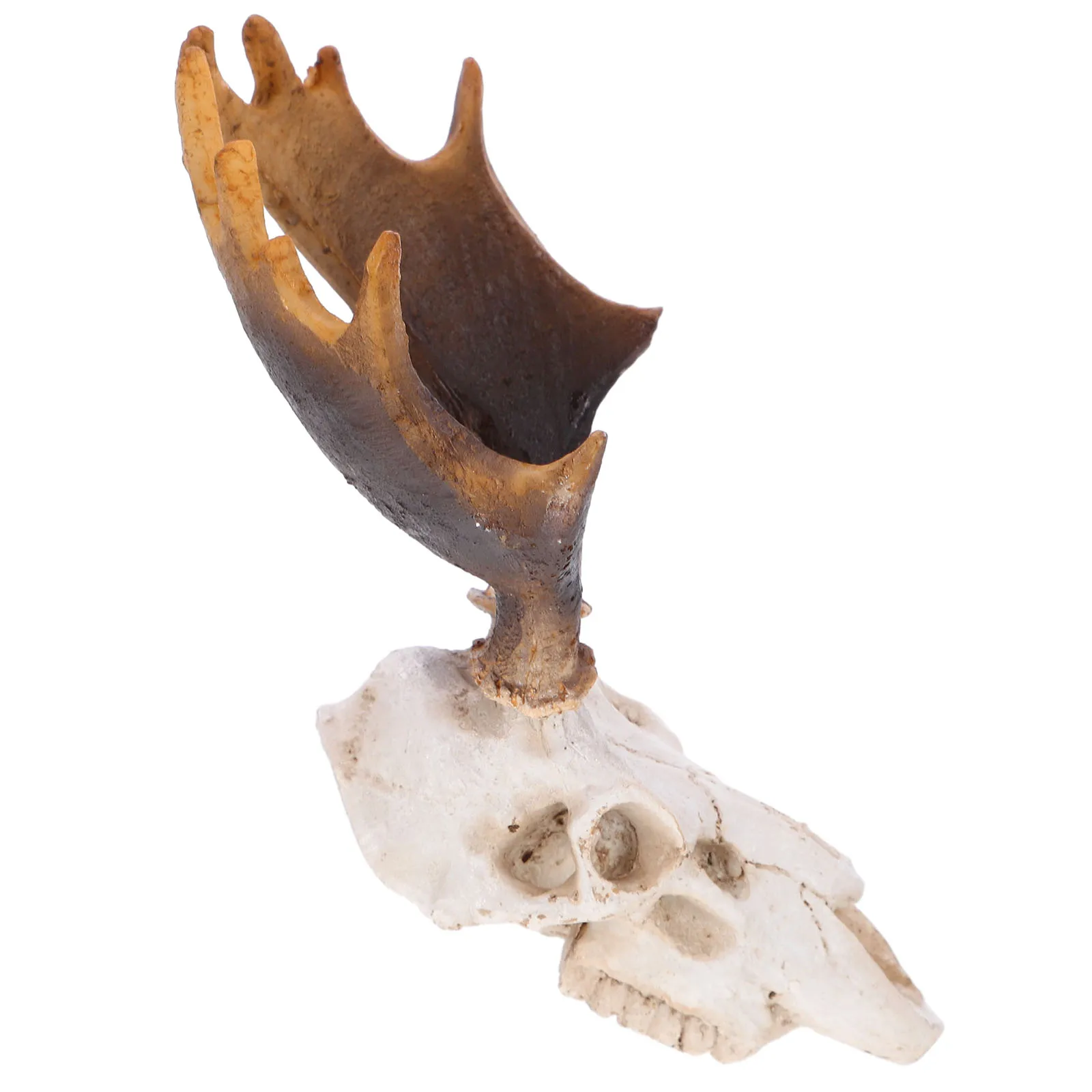 

Skull Decoration Resin Reptile Hideout Cave Durable Portable Deer Skull Ornament Pet Shelter Scorpion Cave Reptile Habitat