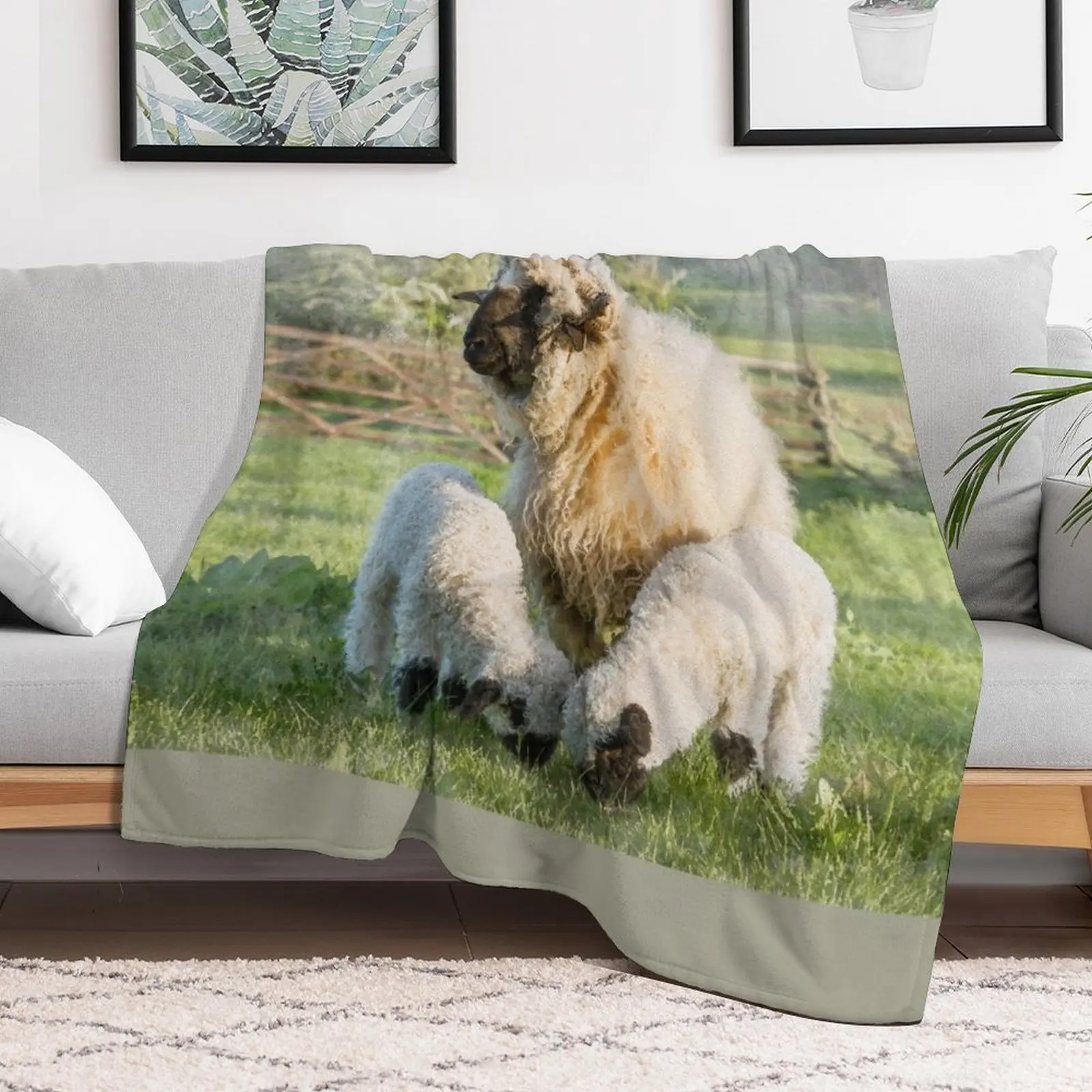 Watercolour Photograph of Valais Blacknose Sheep and Her Twin Lambs Throw Blanket valentine gift ideas Decorative Sofas Blankets