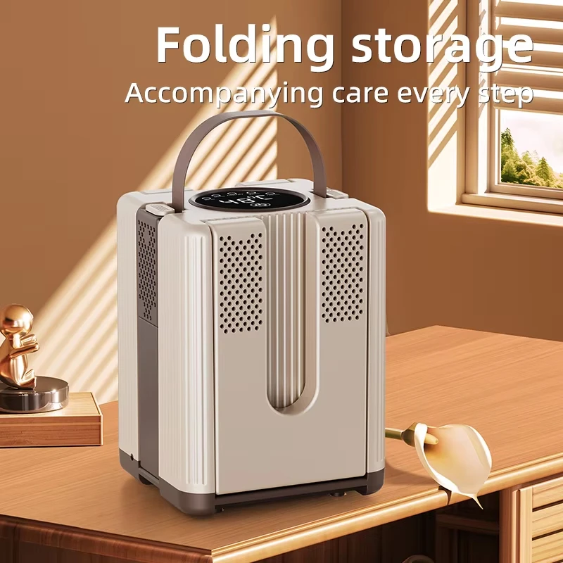 

Умный дисплей, 220 В, выдвижная сушилка для хранения, многоскоростной таймер для всей обуви, чип с подогревом постоянной температуры, быстросохнущий для дома