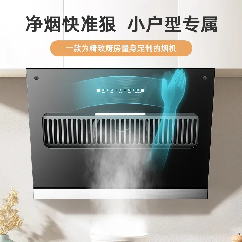 220V Royalstar Small Range Hood Powerful Suction Compact Side Type Kitchen