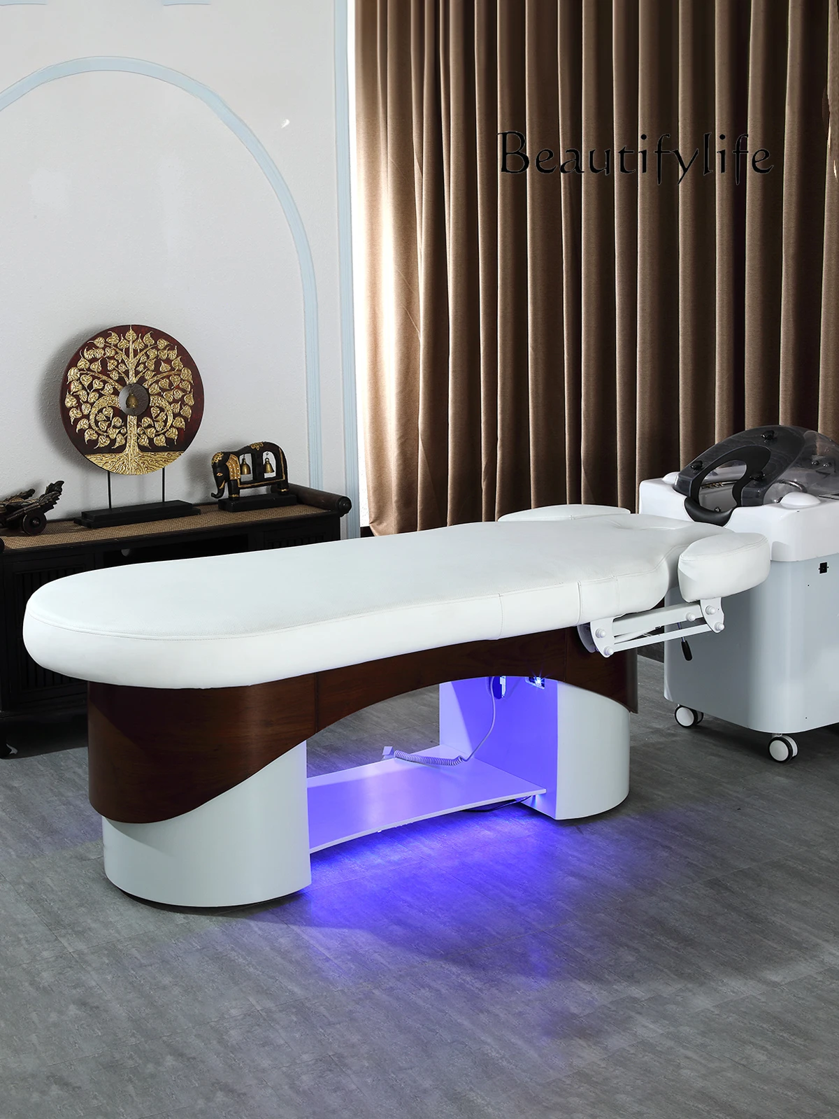 Electric Lift Beauty Care Bed Beauty Salon Special Massage Massage Bed Physiotherapy Body Tattoo Tattoo Bed