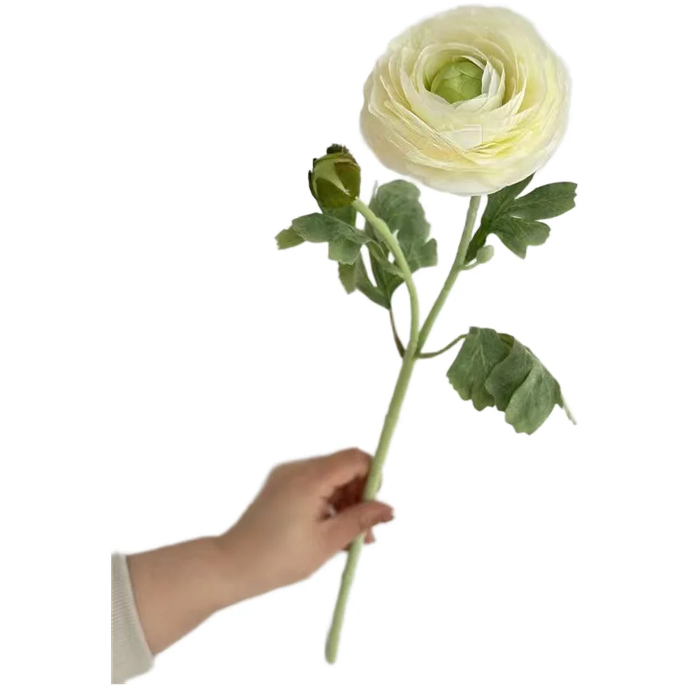 Studio- Flocked Peony for E-commerce Flat Lays Social for media Grid Planning and Interior Mood Board Development 60 cm for stem