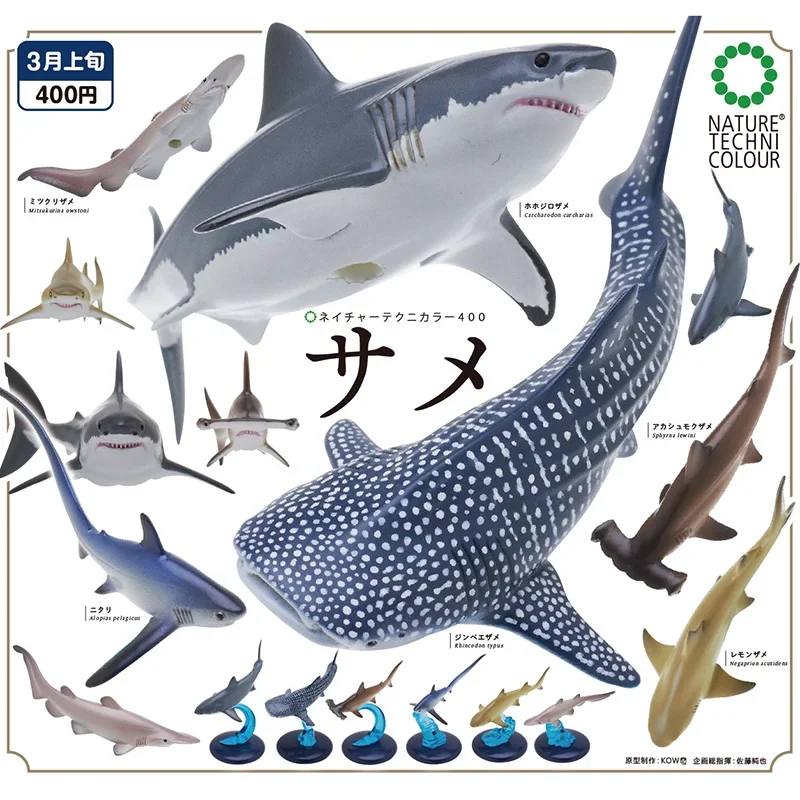 

IKIMON Gashapon Capsule Toy Marine Sharks Fish Model Miniature Doll Gachapon Fish Tank Decoration Table Ornaments Model Gifts
