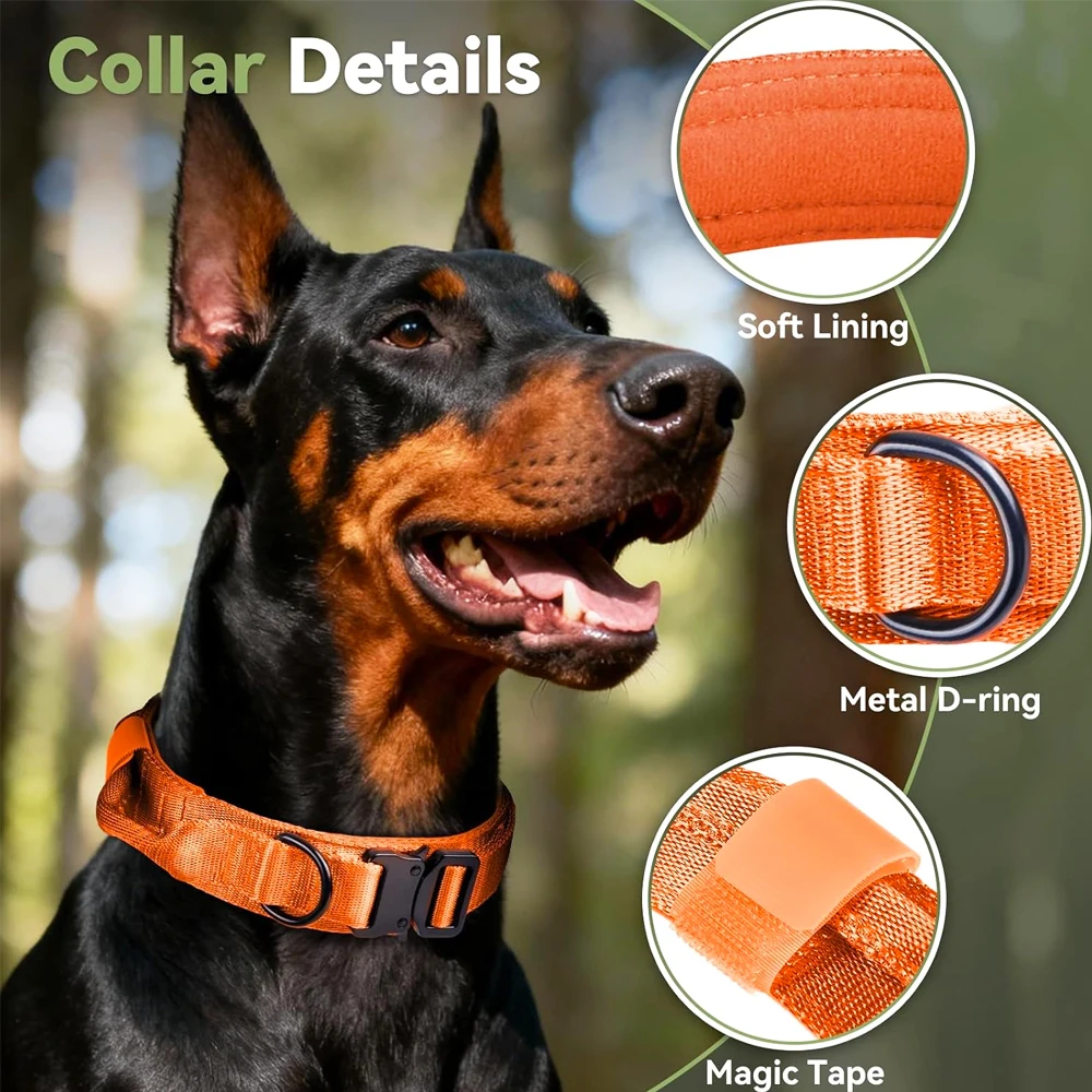 Thumbnail 2 - #40 Best Pet Collars to Buy In 2026