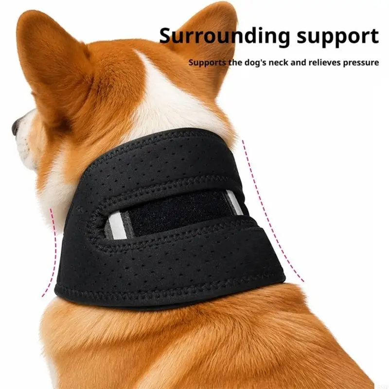 Dog Neck Collar with Perforated Padding and Front Panel Detail Adjustable 55KF