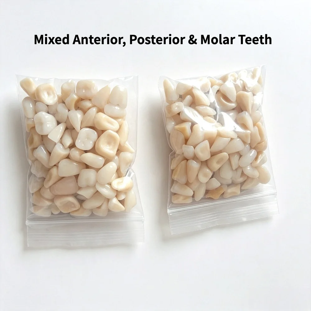 Afbeelding 7: 100/400 stuks Gemengde Anterior Posterior Molaire Kunsthars Tanden, Slijtvast Anti-geel Medisch Kunsthars Voor Prothese Laboratorium Onderwijs