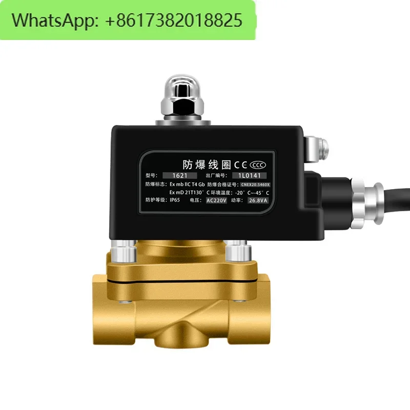 Explosion-proof solenoid valve Normally closed gas valve Natural gas valve Solenoid control  4 points 220V24V