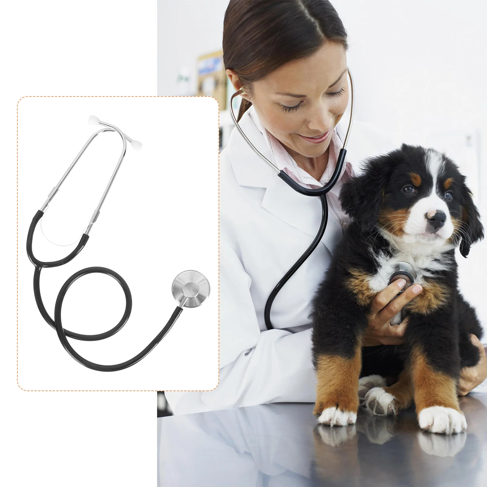 

Professional Veterinary Stethoscope Stainless Steel Lightweight Durable Soft Ear Tube Rubber Plugs Multi-Range Noise Reduction