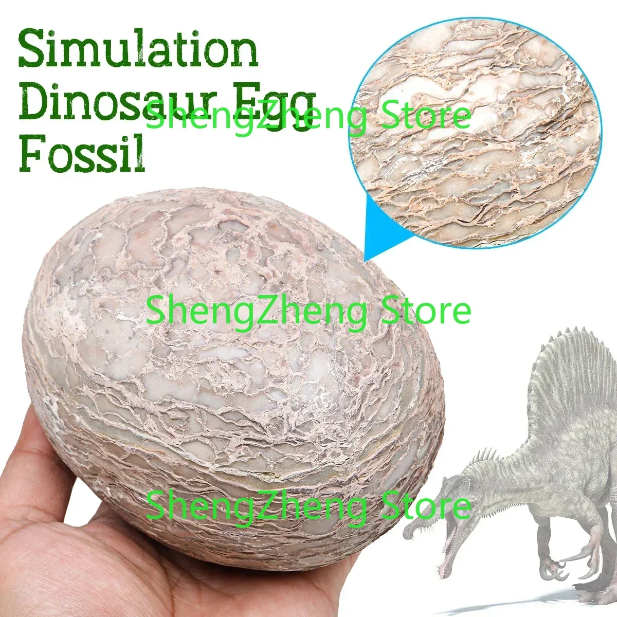 Segnosaur Dinosaur Egg Simulation Fossilized Fossil Teaching Specimen Room Decorations Gift