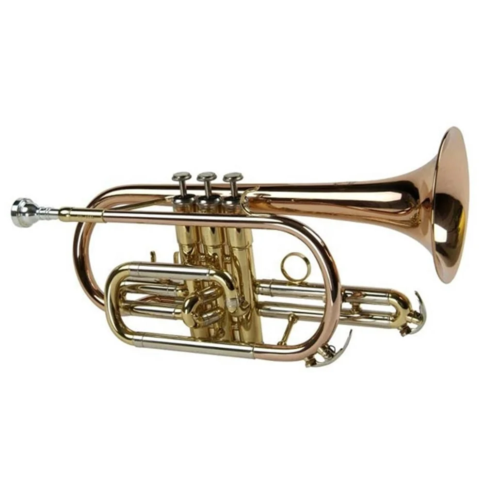 

Gold lacquer Cupronickel slide Phosphor copper leadpipe and bell Tone Bb Cornet