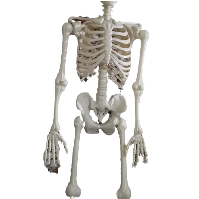 

Halloween new 3-meter super large skeleton skeleton haunted house decoration scene arrangement