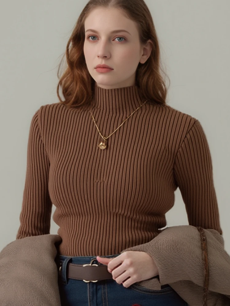 

Autumn Winter Turtleneck Pullover Sweater Women Casual Fashion Slim Fit Long Sleeve Tops Solid Color Elegant Knitwear