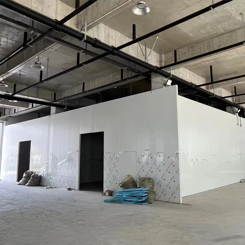 مبرد تخزين بارد تجاري مخصص للمشي في الغرفة لنظام أعمال اللحوم والخضروات والمأكولات البحرية