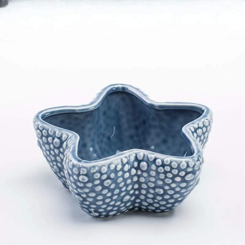 Hot selling ocean succulent flowerpot ornament cute cartoon whale shell meat plant small flowerpot