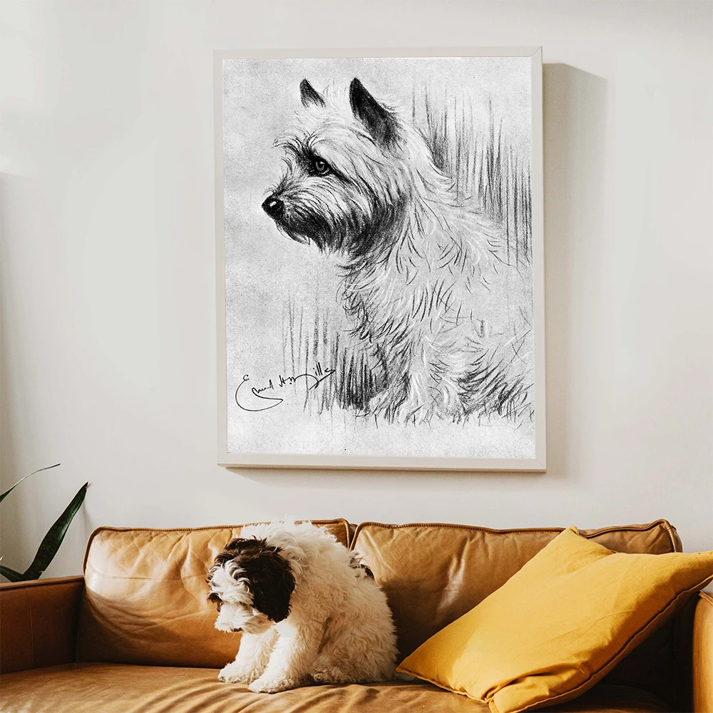 Lovely Cairn Terrier Dog Portrait Print Vintage Sketch Drawing Painting Canvas Poster Dog Illustration Wall Picture Home Decor