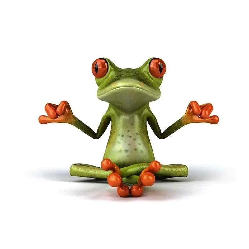 

New Design Cartoon Frog Zen Anime Frog Car Sticker Vinyl Helmet JDM Car Accessories Scratch Graphic, 13cm