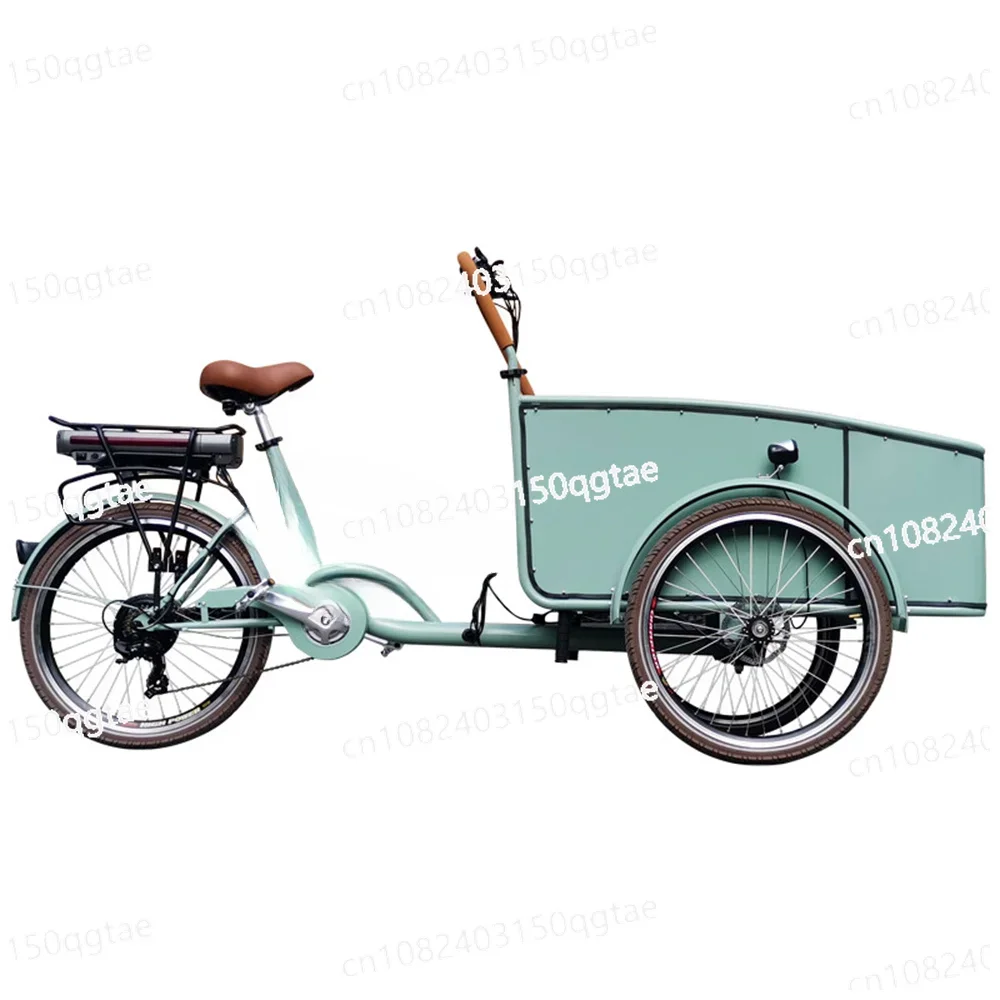 Three Wheeled Family Cargo Bicycle Three Wheeled Adult Cargo Bicycle with Footrest Child Seat