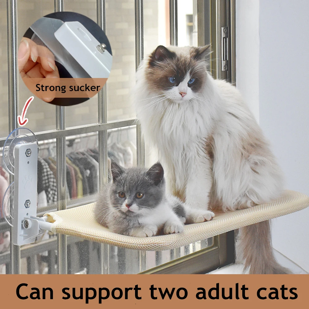 Thumbnail 4 - #24 Latest Window Mounted Cat Hammocks Offers