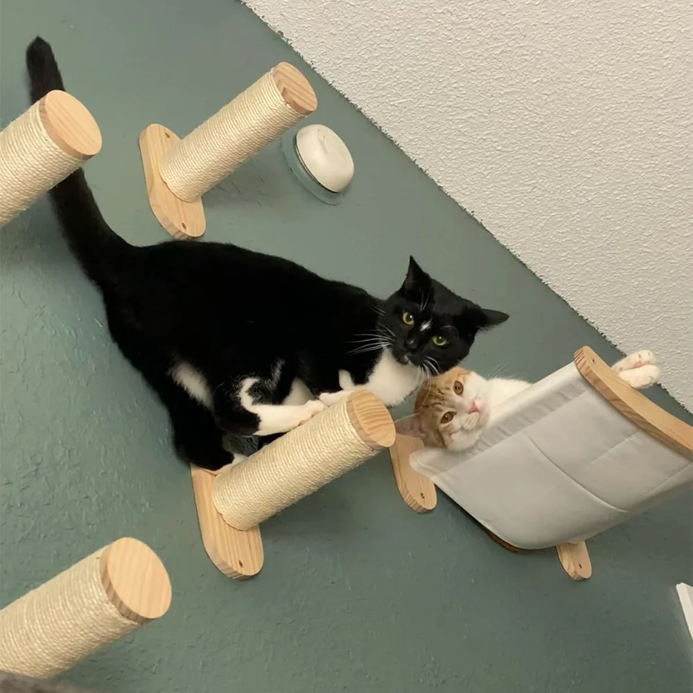 Cuerda trepar para gatos en pared con escalones madera maciza y sisal