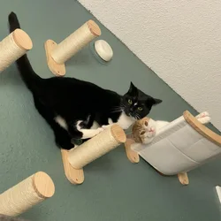 Cuerda trepar para gatos en pared con escalones madera maciza y sisal