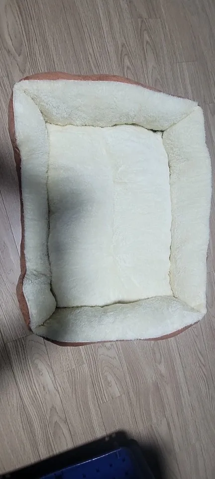 실물 포토 리뷰