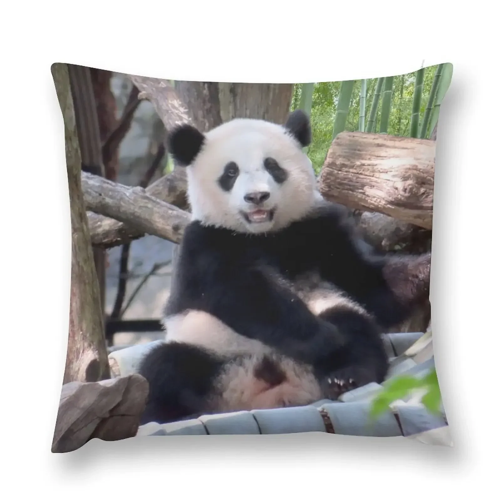 

Giant Panda Xiao Qi Ji at the Smithsonian's National Zoo Throw Pillow Cushions Cover Decorative Cover For Living Room pillow