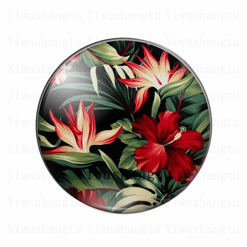 Beauty amaryllis flower colourful blooming  12mm/20mm/25mm/30mm photo glass cabochon demo flat back Making findings