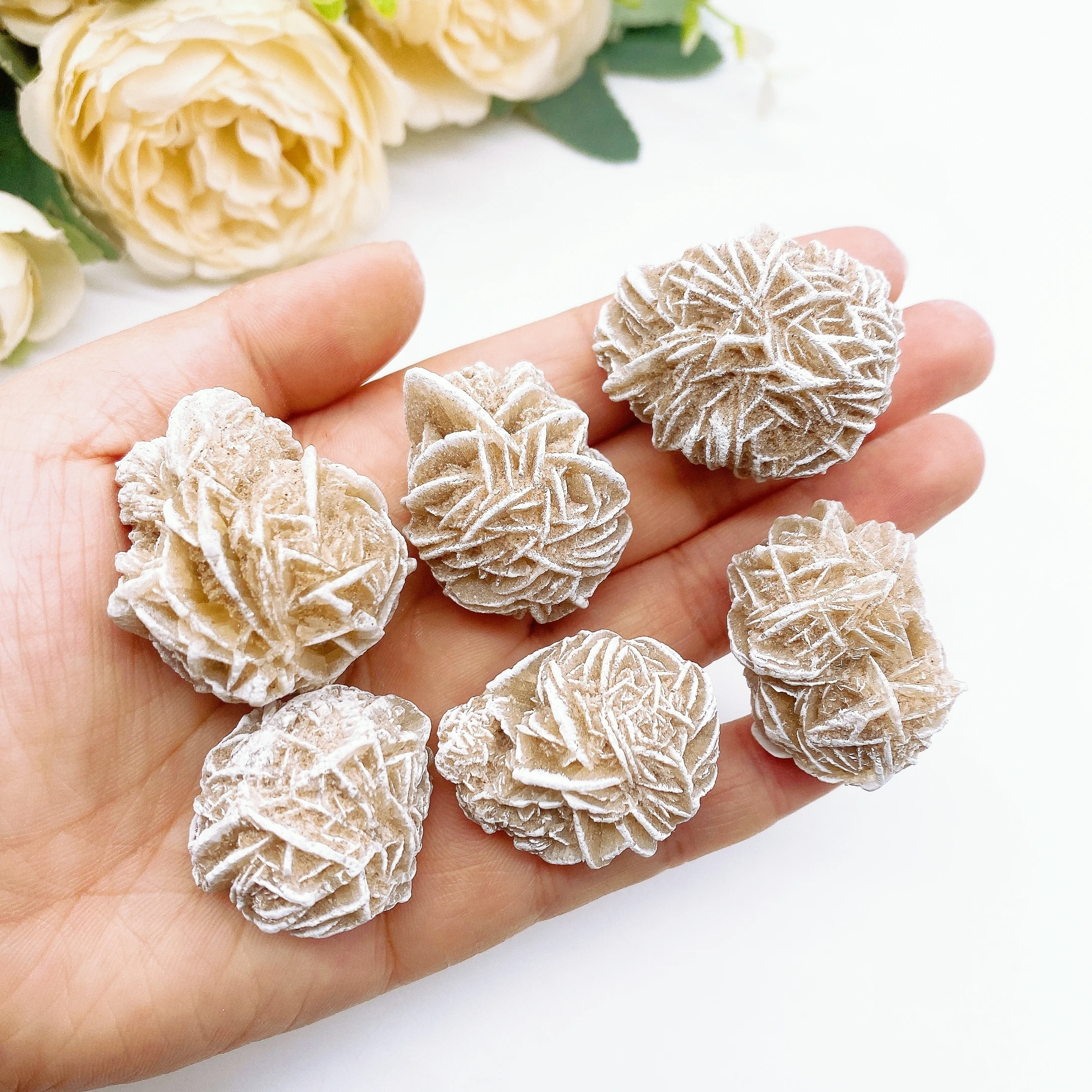 25-40MM Desert Rose Selenite Mineral Specimen Natural Crystal Quartz Stone Energy Healing Home Decor Adenium Obesum Gift