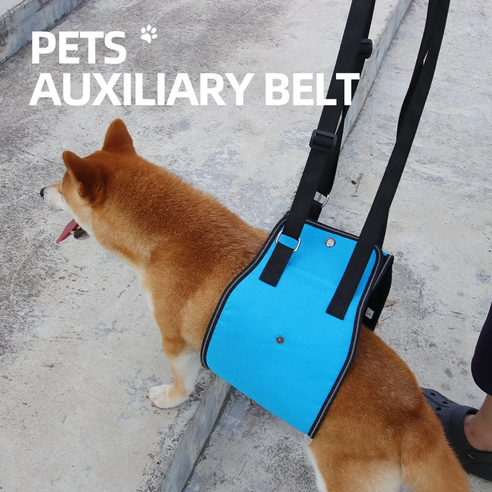 dog-leash-for-disabled-dogs-senior-dogs-assistive-back-support-harness-pull-up-style-pet-back-support-harness